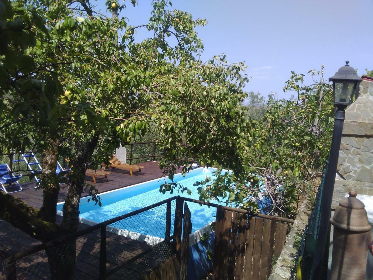 Country House Near Florence Guest House ภายนอก รูปภาพ