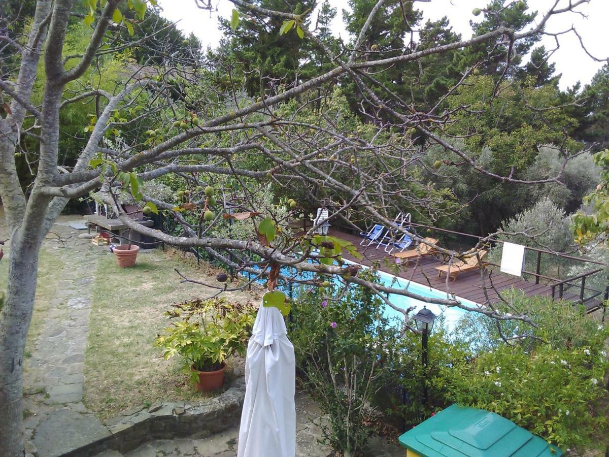 Country House Near Florence Guest House ภายนอก รูปภาพ