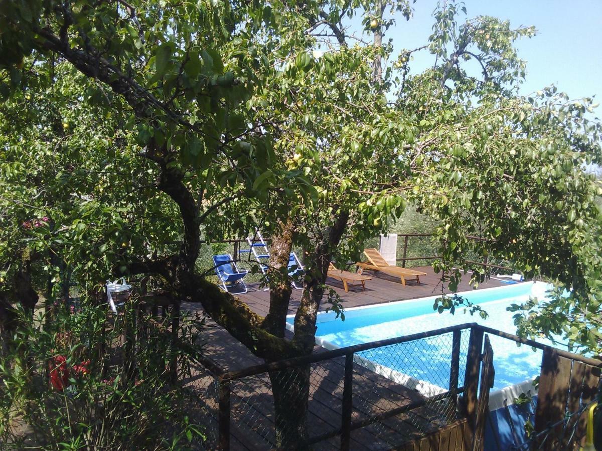 Country House Near Florence Guest House ภายนอก รูปภาพ